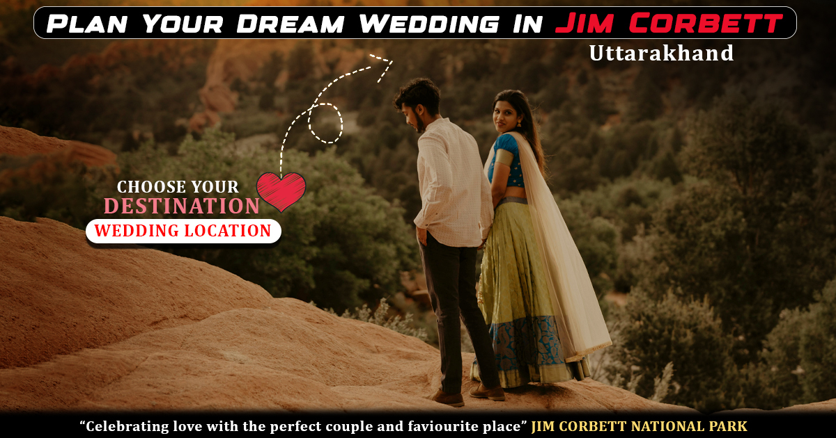 Plan Your Dream Wedding In Jim Corbett