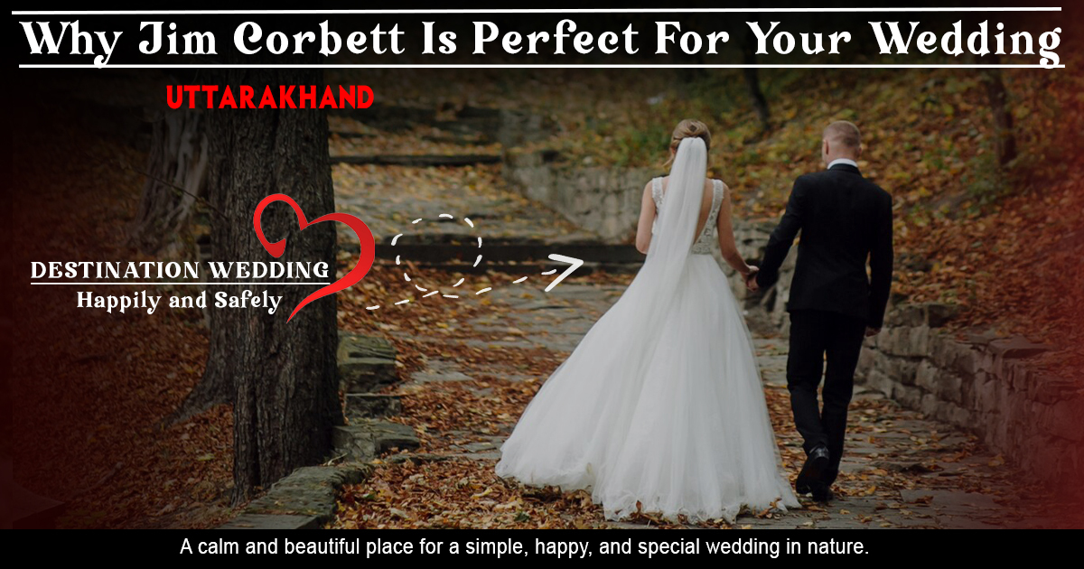 Why Jim Corbett Is Perfect For Your Wedding