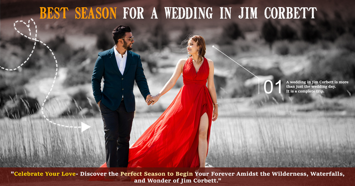 Best Season For A Wedding In Jim Corbett