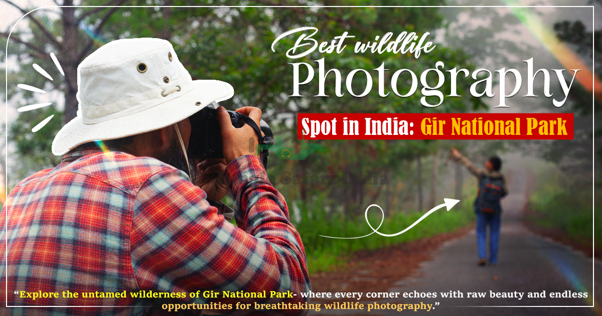Best Invitation Ideas For Jim Corbett Weddings
