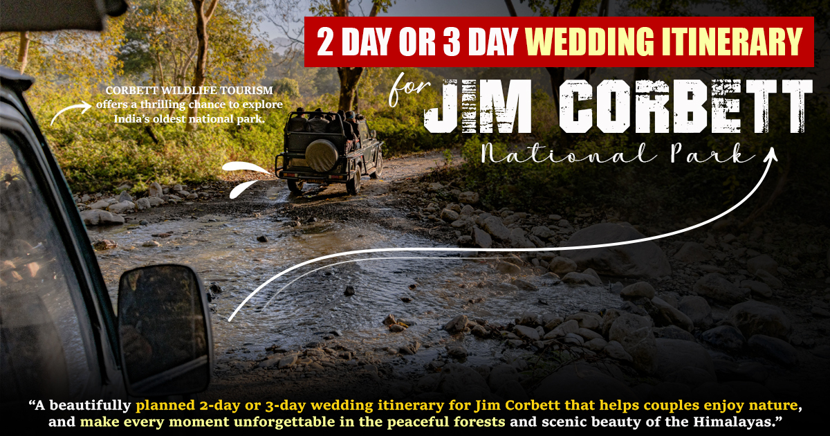 2-Day or 3-Day Wedding Itinerary for Jim Corbett