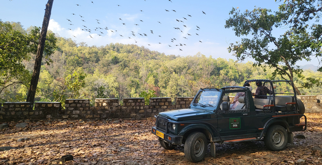 Jim Corbett Dhela Zone 